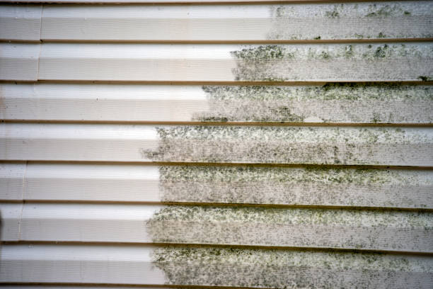 Best Hoarding Cleanup  in Fourche Crossing, LA